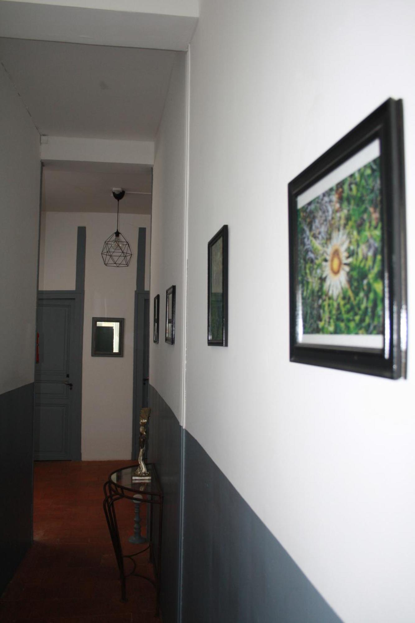 Le Therminus Chambres D Hotes Rennes-les-Bains Ngoại thất bức ảnh